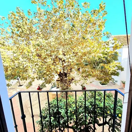 Downtown Pueblo Lopez Eco In Center 아파트 푸엔히롤라