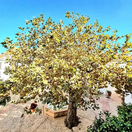 Downtown Pueblo Lopez Eco In Center * Fuengirola