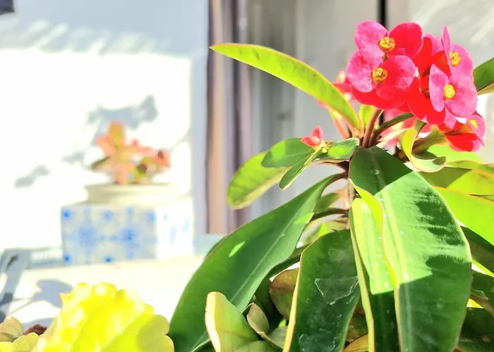 Apartament Downtown Pueblo Lopez Eco In Center