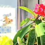 Апартаменты Downtown Pueblo Lopez Eco In Center